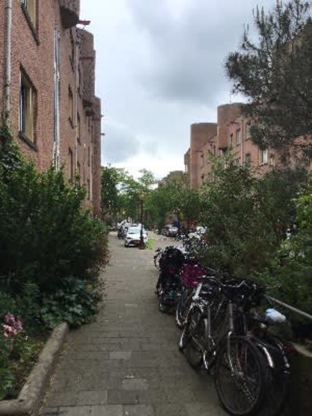 Saffierstraat 63, 1074 VD Amsterdam, Nederland