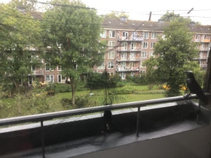 Wildeman 48II, 1068 BN Amsterdam, Nederland