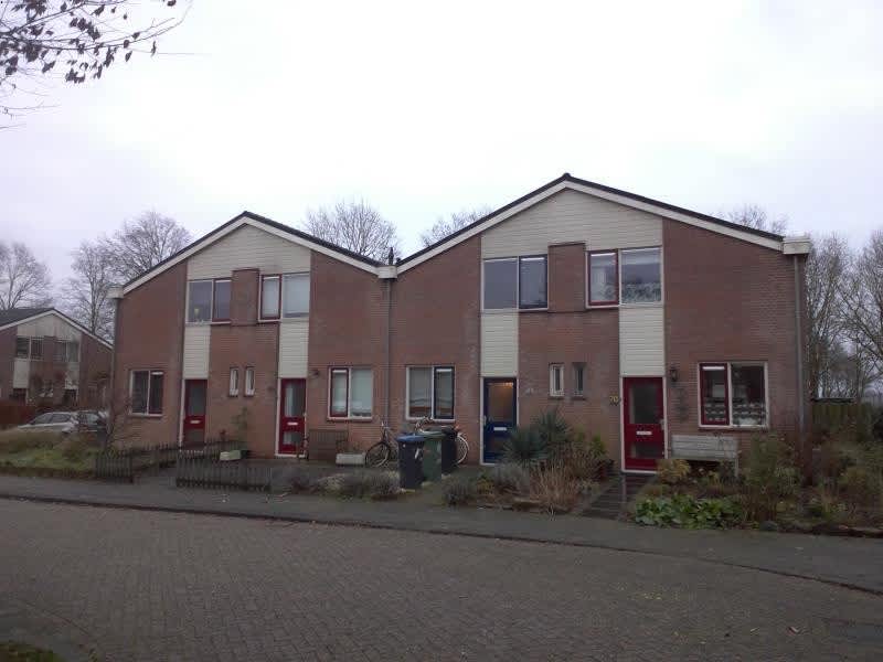 Pinksterbloem 73, 4102 KD Culemborg, Nederland