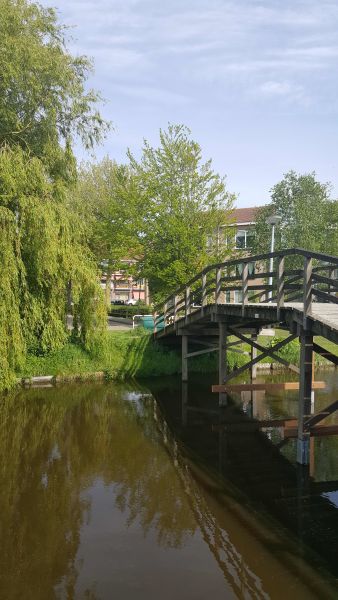 De Peereboomstraat 35