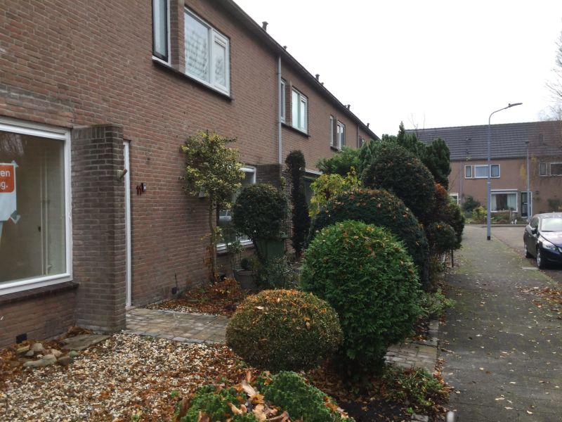 Hoornbladplantsoen 11