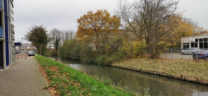 Dokter Bolkesteinstraat 166