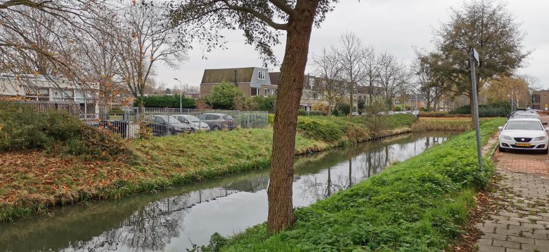 Dokter Bolkesteinstraat 166