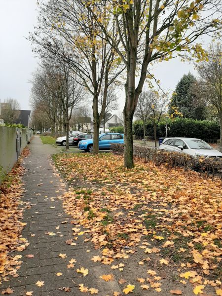 Benny Goodmanstraat 70