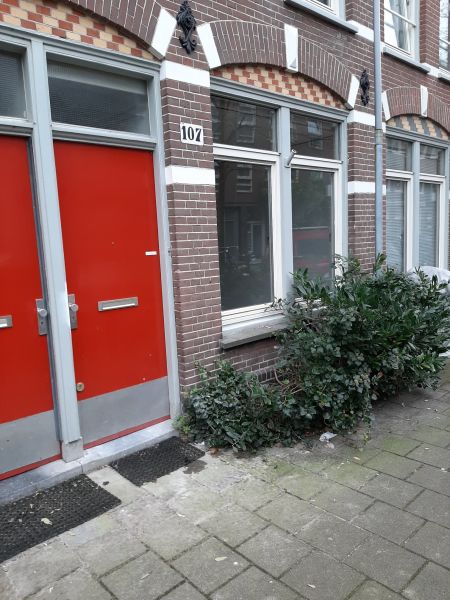 Gillis van Ledenberchstraat 107HS, 1052 VC Amsterdam, Nederland