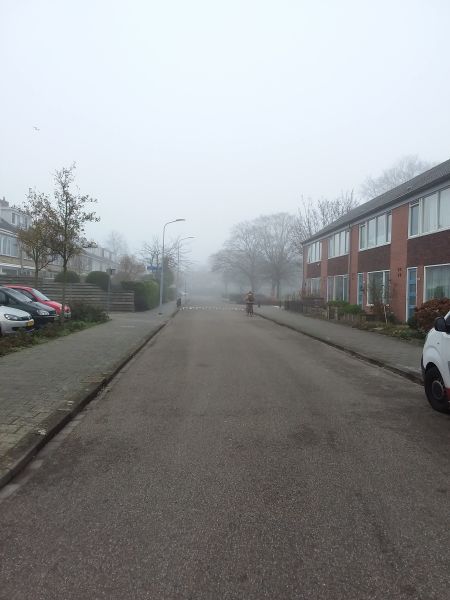 Graan voor Visch 16638