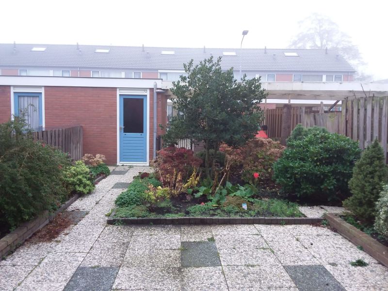 Graan voor Visch 16638