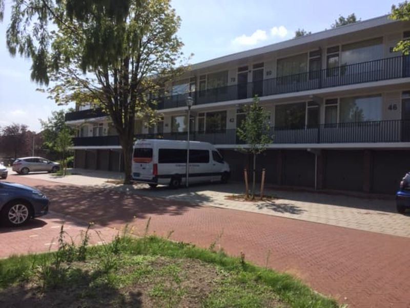 Jac. P. Thijssepark 54