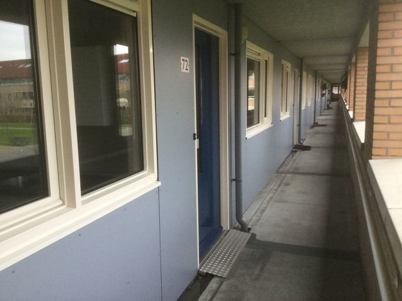 Gerard Ter Borchhage 72