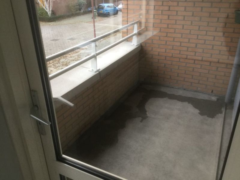 Gerard Ter Borchhage 72