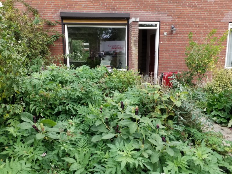 Uiverstraat 38, 1171 GZ Badhoevedorp, Nederland