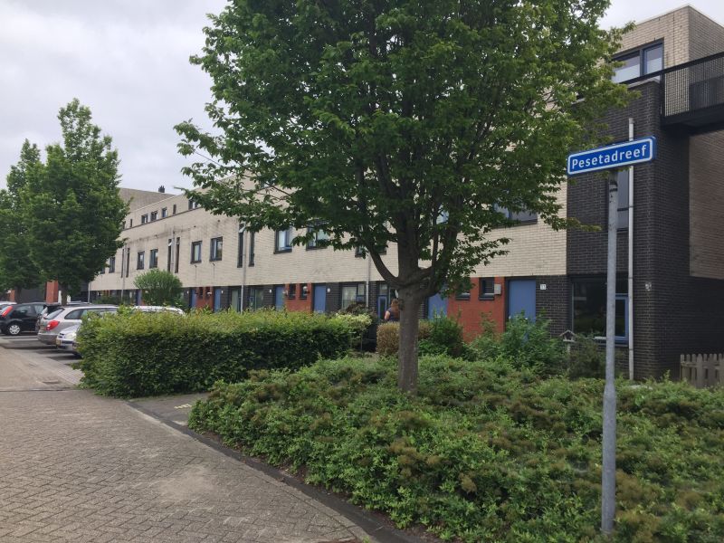 Pesetadreef 43