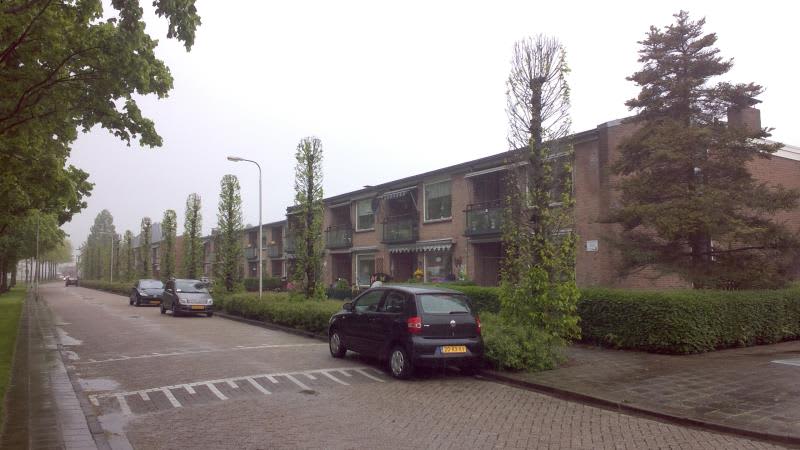 Esdoornstraat 39