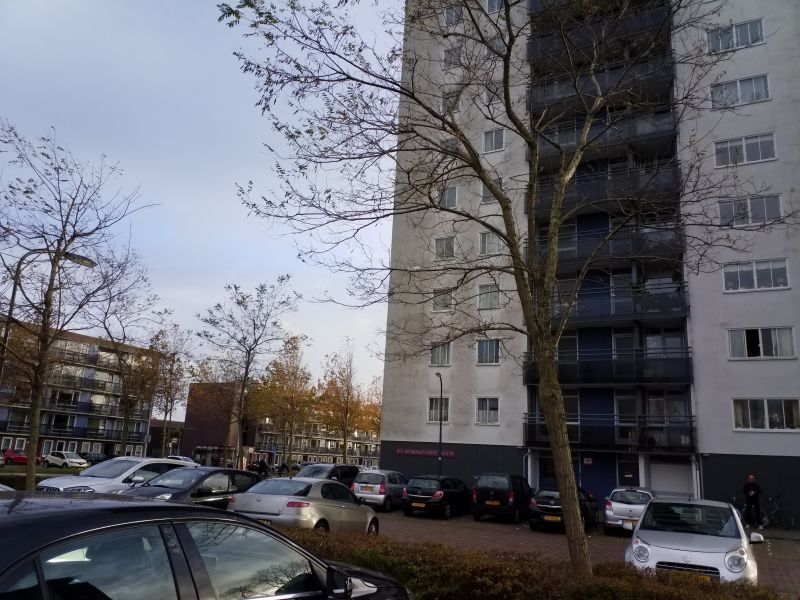 W.F. Hermansstraat 41