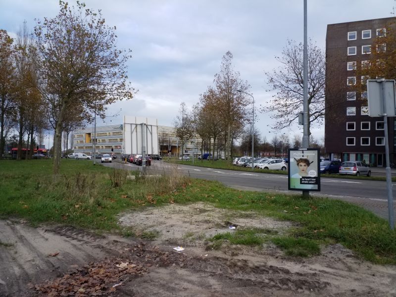 W.F. Hermansstraat 41