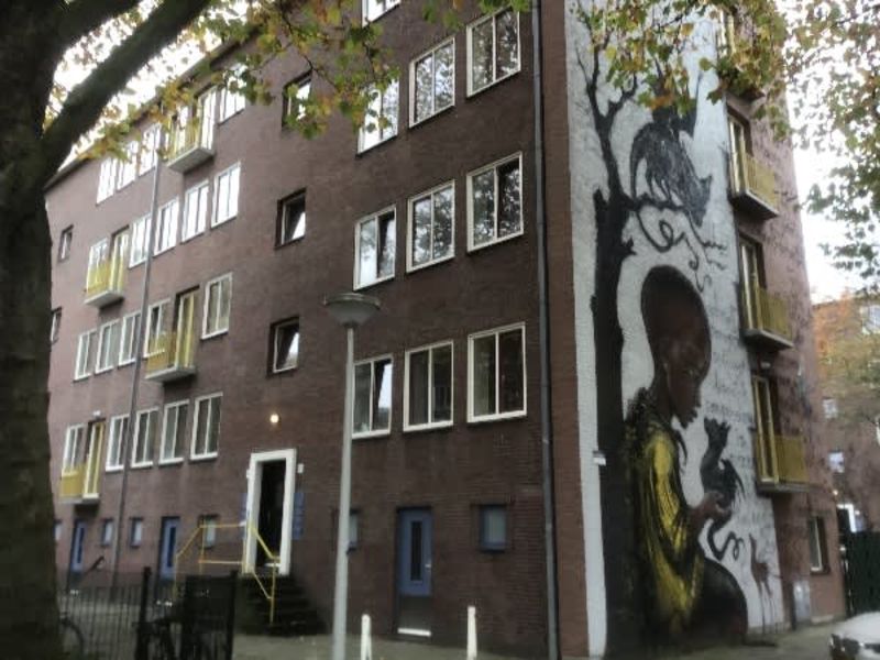 Platanenweg 46, 1091 TX Amsterdam, Nederland