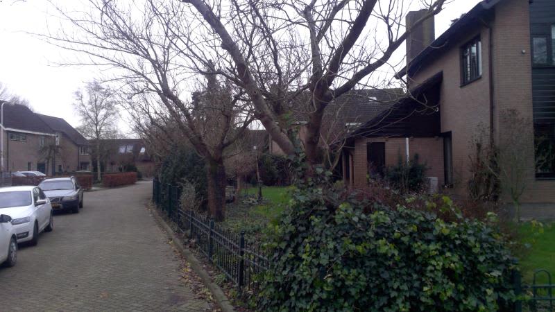 Achtermonde 26, 4156 AD Rumpt, Nederland