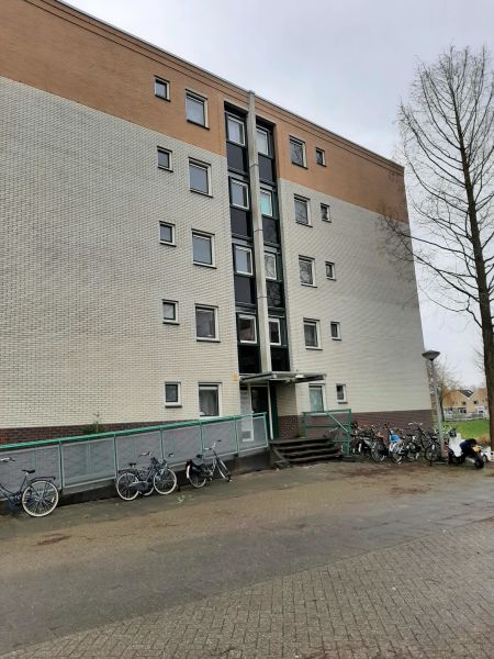 Clingendaellaan 217, 1333 WH Almere, Nederland