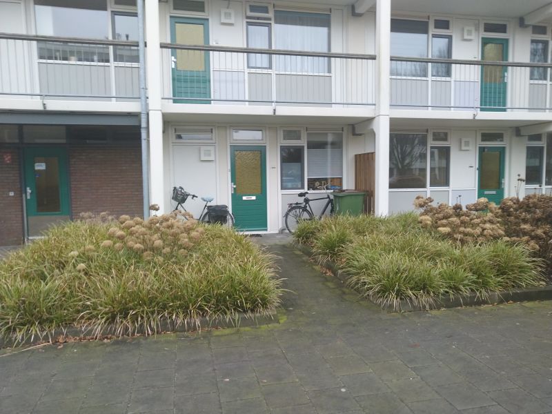 Jan Roeckplantsoen 22