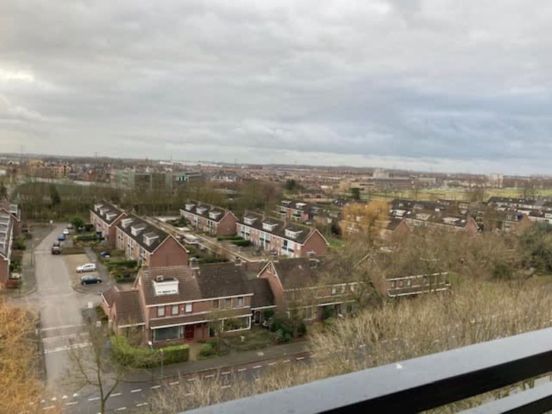 Van Slingelandtlanen 120