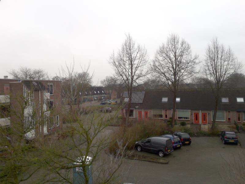 Antoon Coolenstraat 89