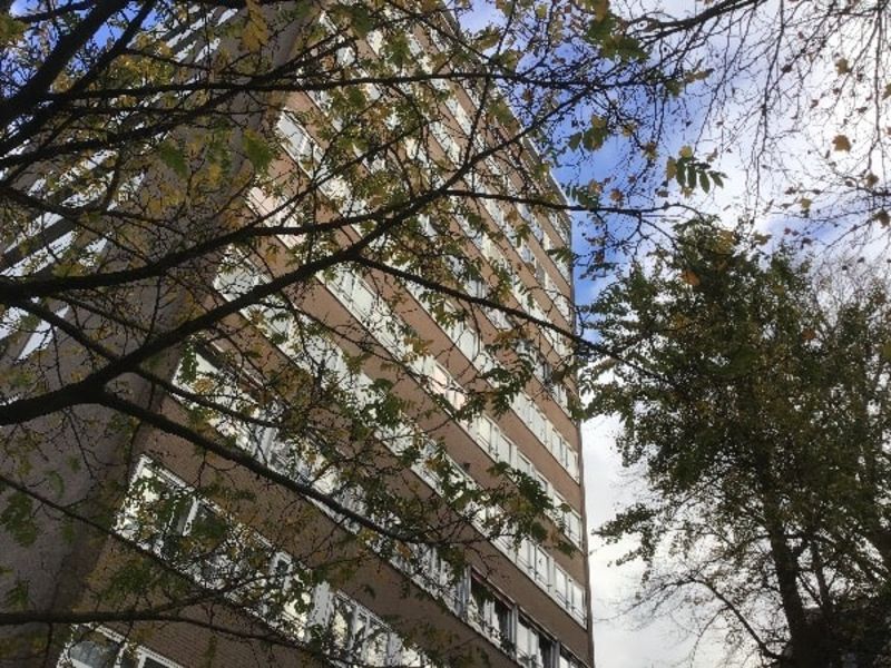 Ite Boeremastraat 91