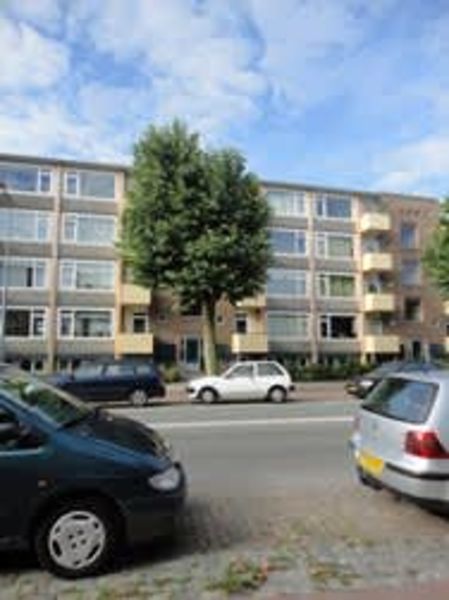 Asingastraat 190, 9716 ET Groningen, Nederland