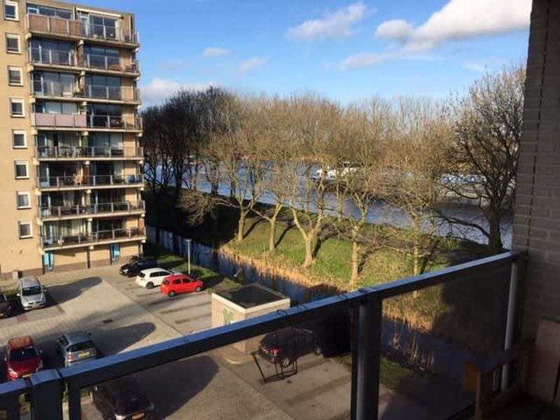 Meerkoet 253, 1113 EB Diemen, Nederland