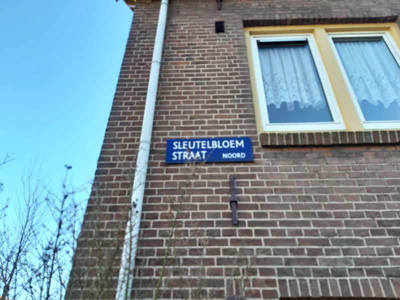 Sleutelbloemstraat 34