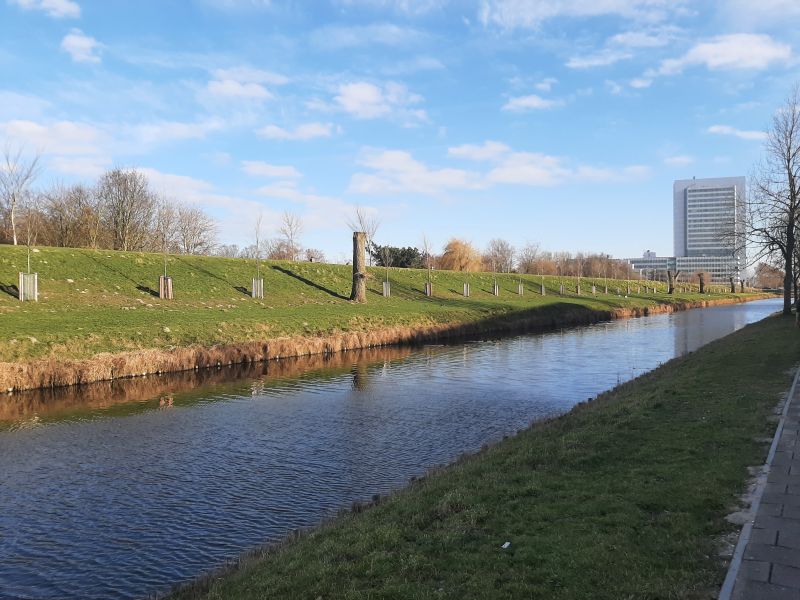 Graan voor Visch 13941