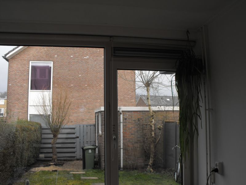 Arisstraat 4