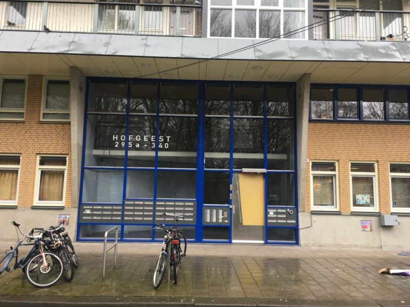 Hofgeest 295B