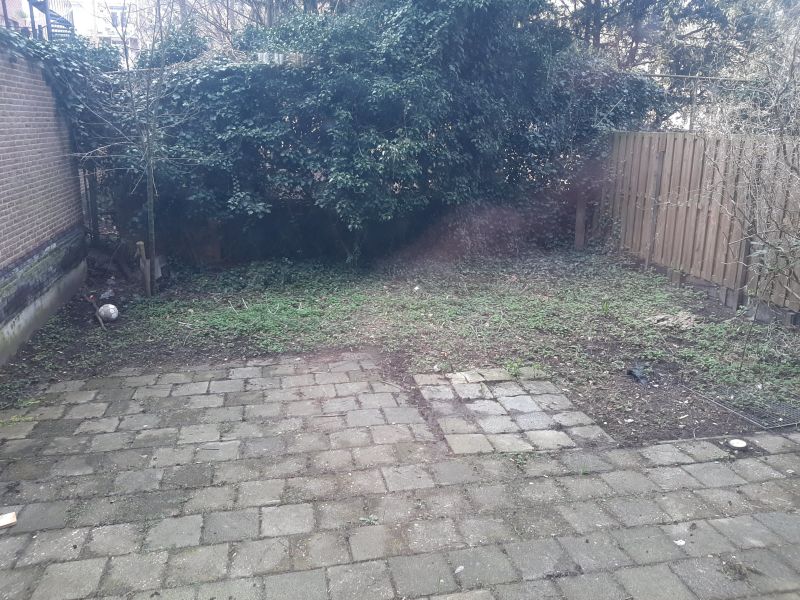 Van Speijkstraat 31-3