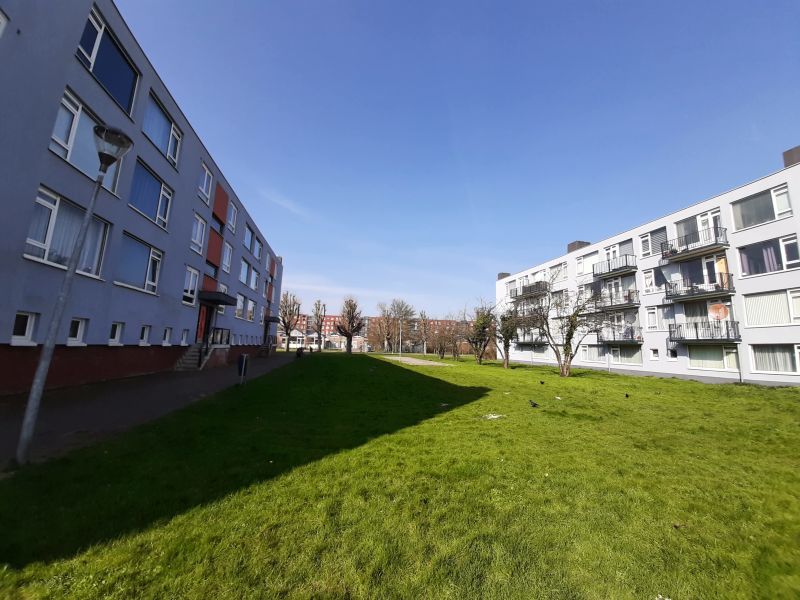 Vincent van Goghlaan 24