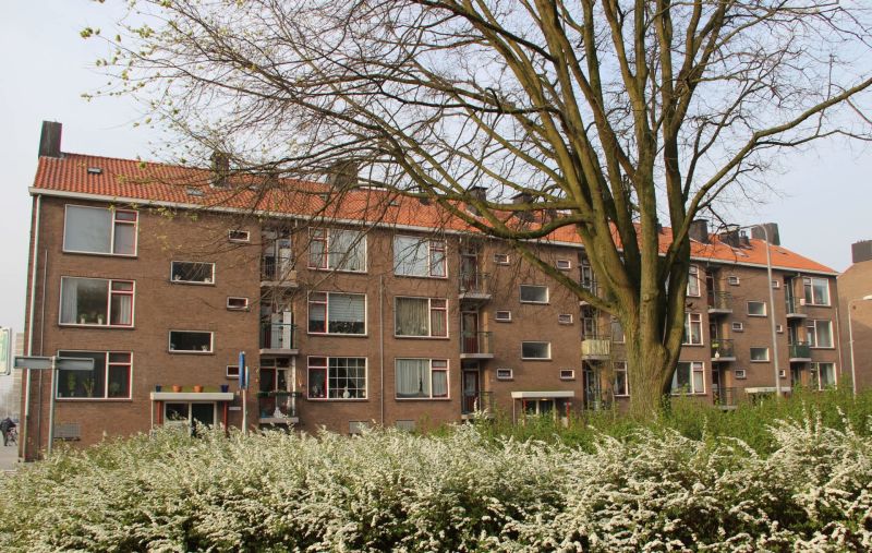 Pleiadenplantsoen 116, 1973 BX IJmuiden, Nederland