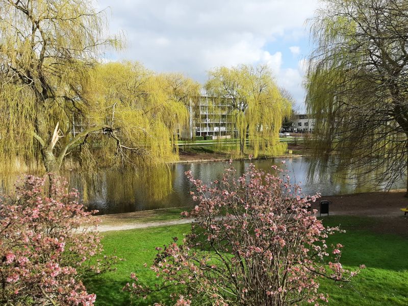 Watercipresstraat 134