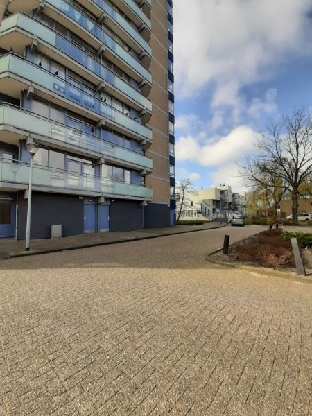 Briandlaan 116, 2037 XR Haarlem, Nederland