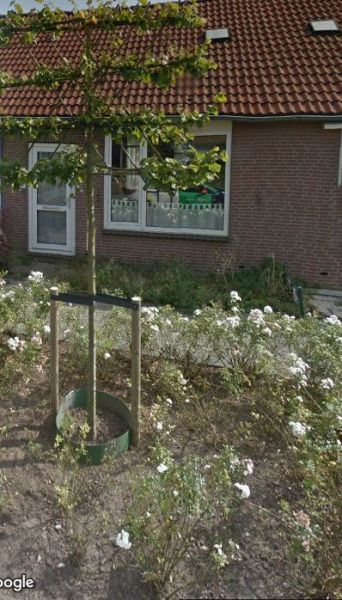 De Bogerd 31, 4233 GN Ameide, Nederland