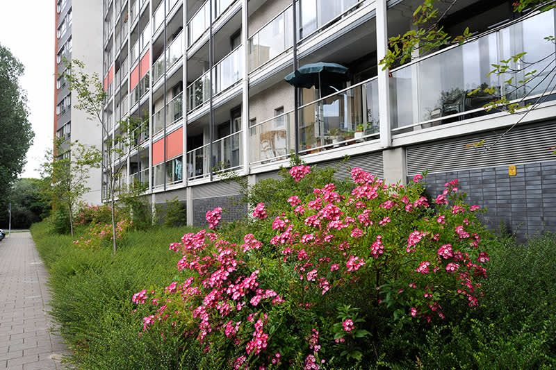 Tak van Poortvlietstraat 153, 3317 JS Dordrecht, Nederland