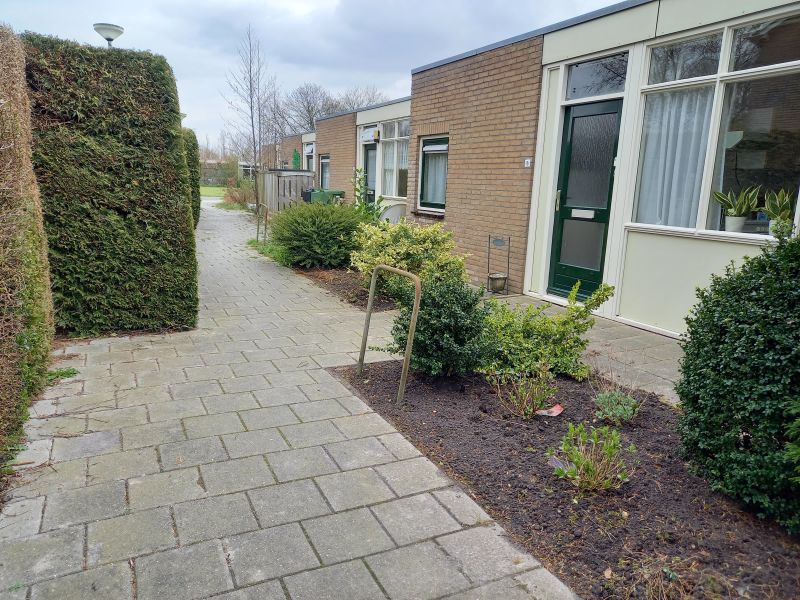 Gela Manningalaan 20