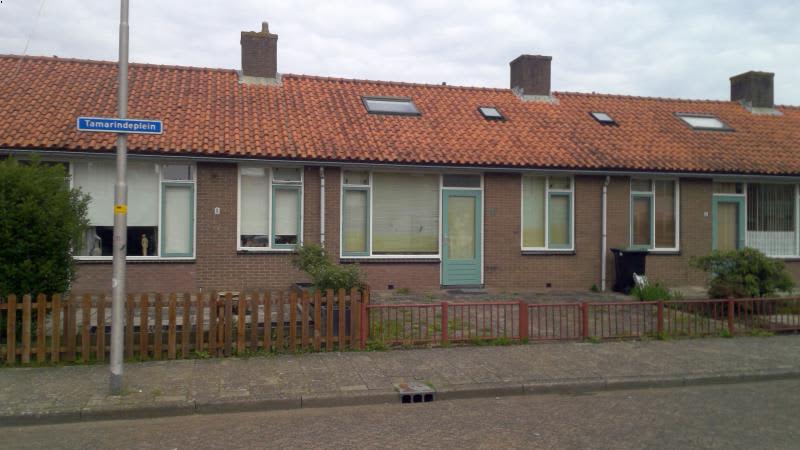 Tamarindeplein 16, 4142 WH Leerdam, Nederland