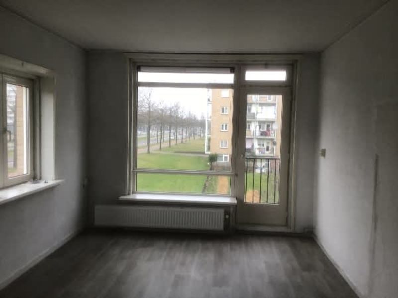 Nico van Suchtelenhof 12