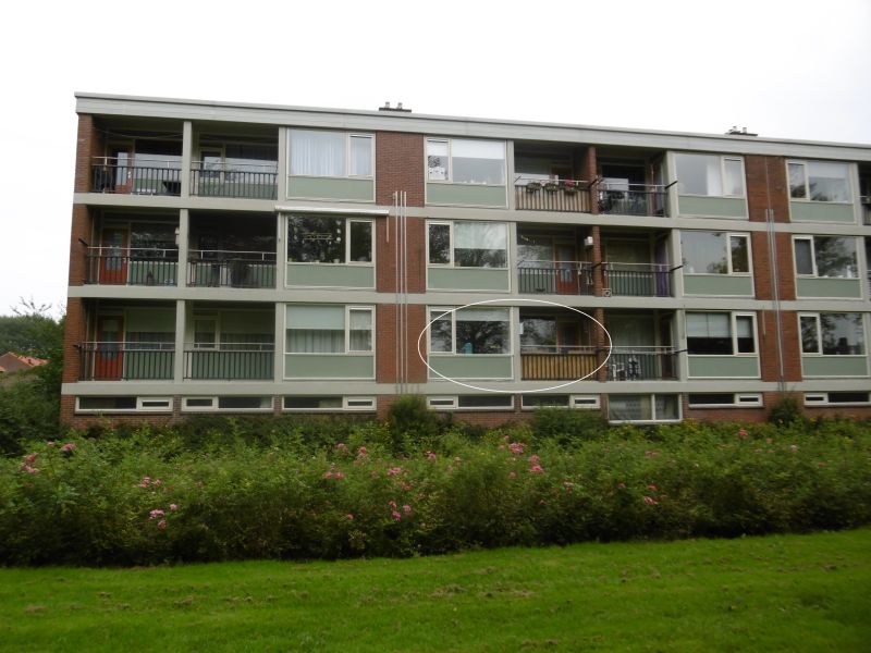 Elba 4, 8303 WR Emmeloord, Nederland