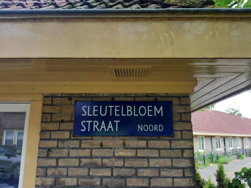 Sleutelbloemstraat 6