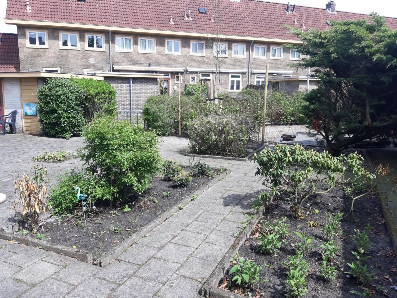 Sleutelbloemstraat 6