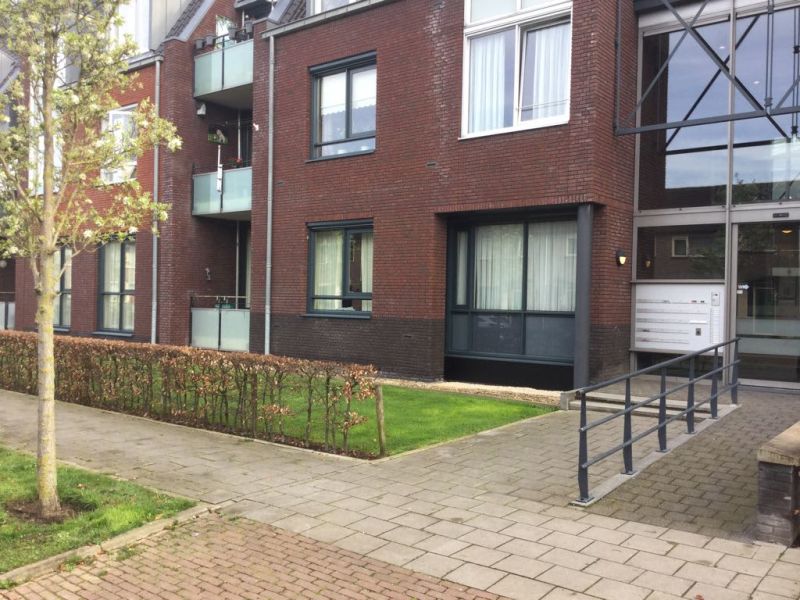 Meidoornstraat 12