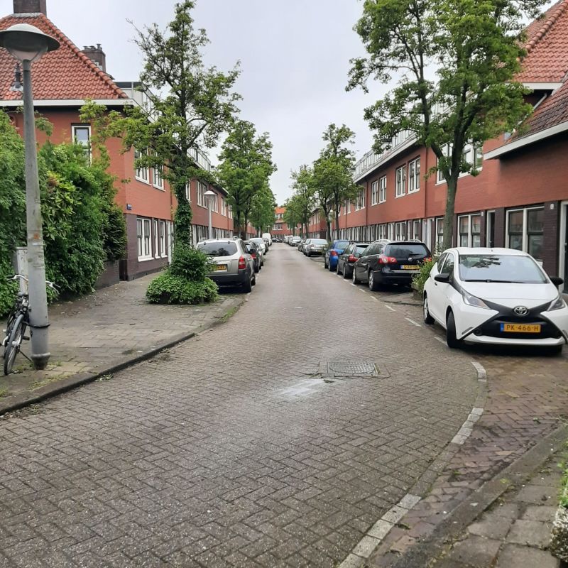 Aurikelstraat 34