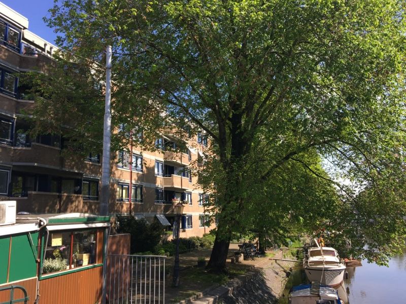 Van Limburg Stirumstraat 227