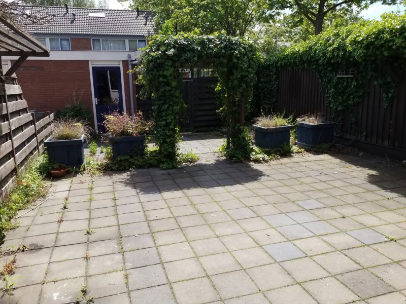 Graan voor Visch 16433