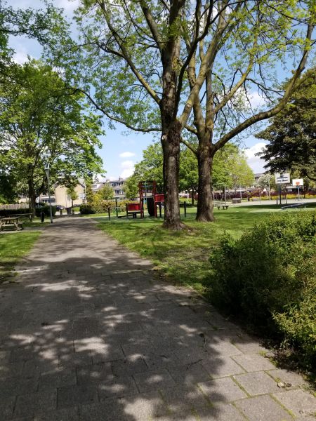 Graan voor Visch 16433